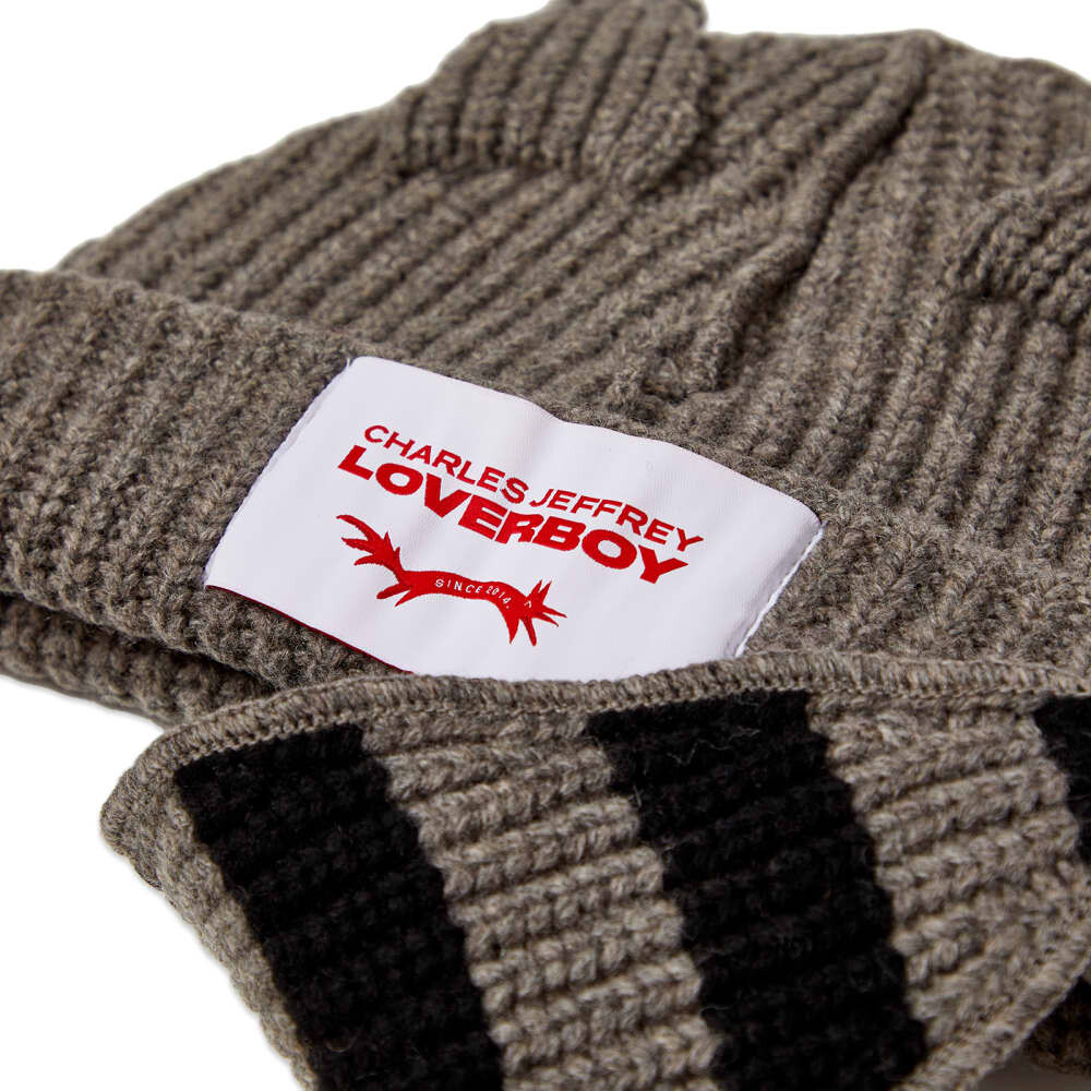 

Коренастая шапка с изображением енота Charles Jeffrey