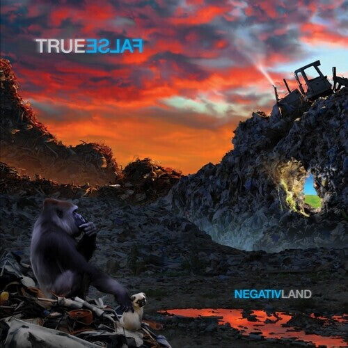 

Виниловая пластинка Negativland: True False