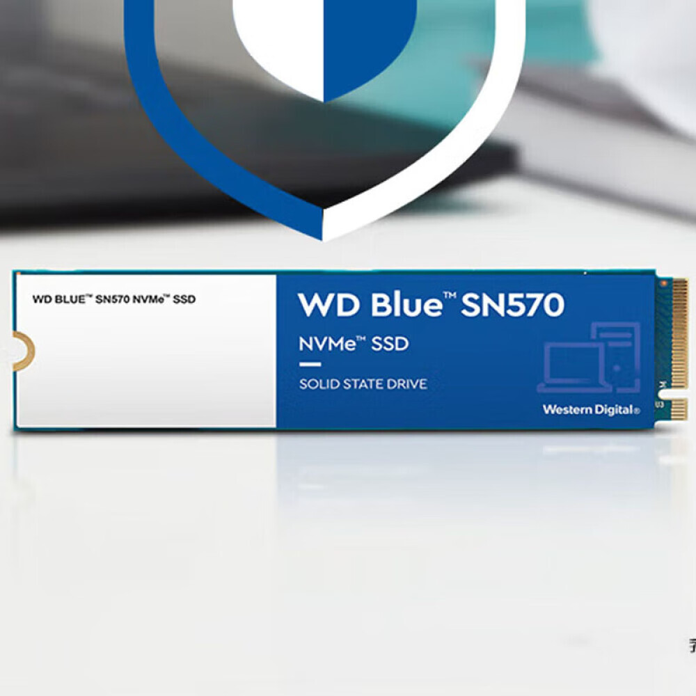 

SSD-накопитель Western Digital Blue SN570 500GB
