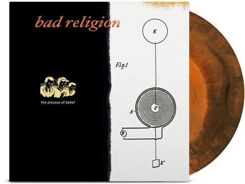 

Виниловая пластинка Bad Religion - Process Of Belief (Anniv. Ed.) (Halloween Orange)