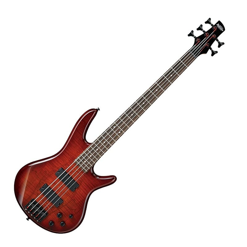 

5-струнная бас-гитара Ibanez GSR205SM Charcoal Brown Burst