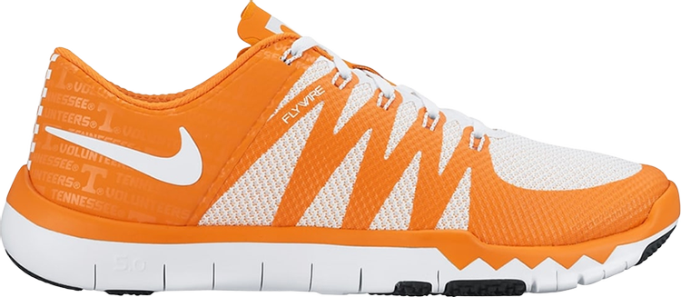 Nike free trainer sale 5.0 v6 amp