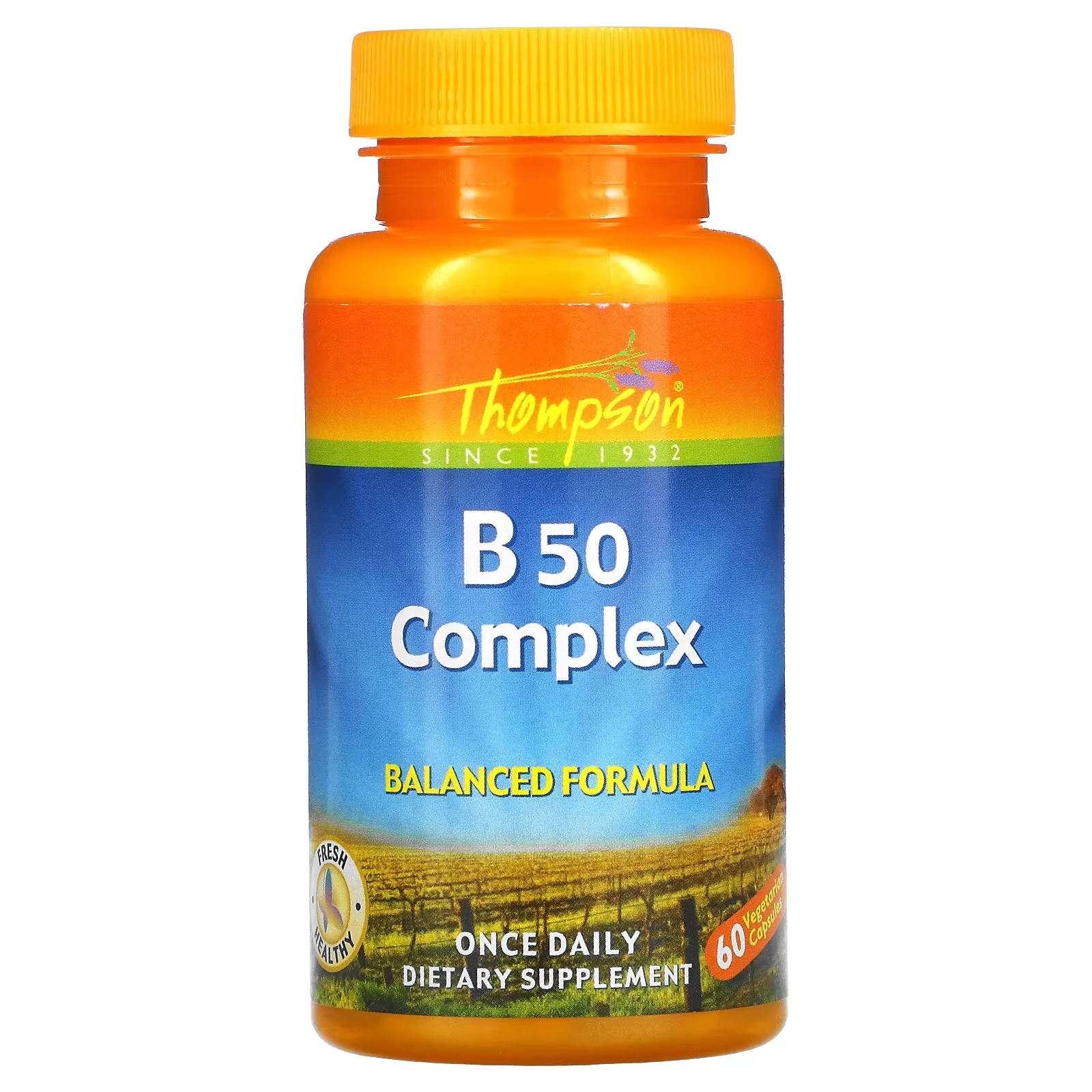 Thompson B50 Complex комплекс витаминов группы В, 60 вегетарианских капсул thompson витаминный комплекс stress complex 90 растительных капсул