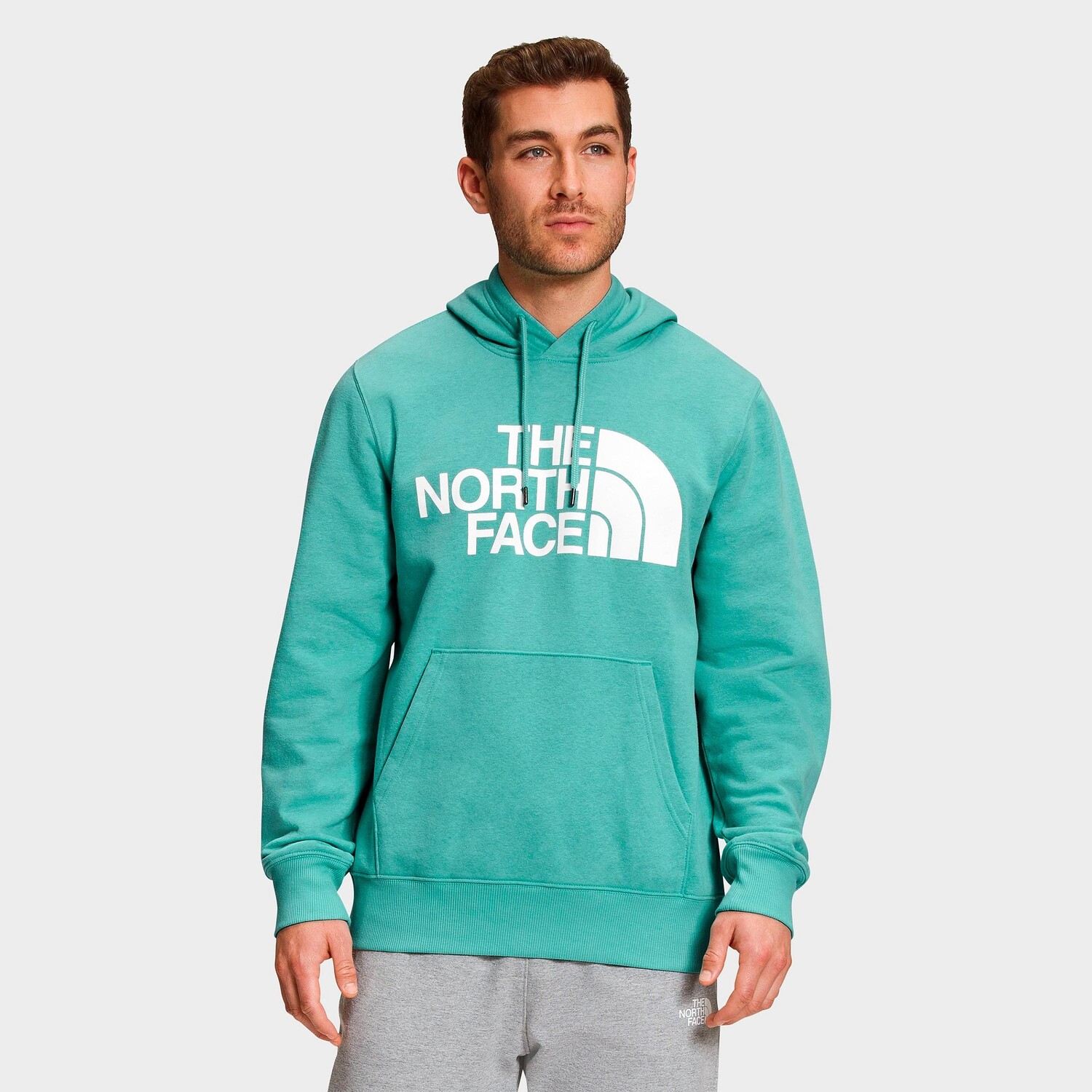 

Мужская толстовка с капюшоном The North Face Half Dome, синий