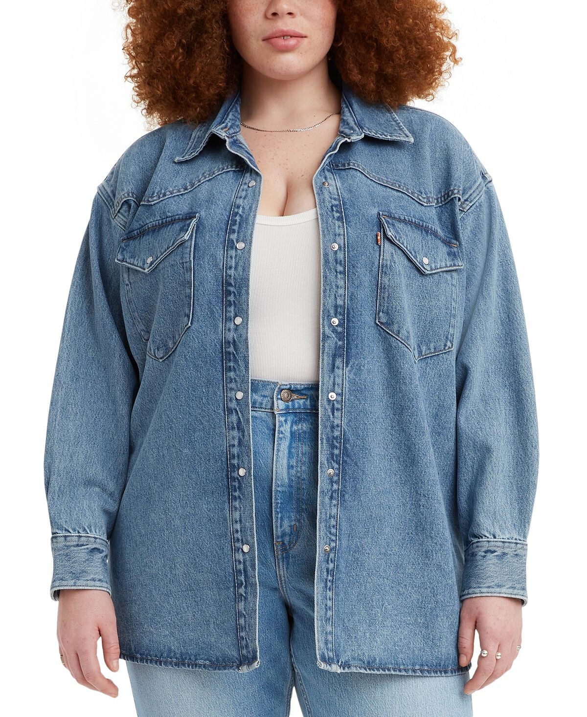 

Модная хлопковая рубашка больших размеров dylan western Levi's, мульти