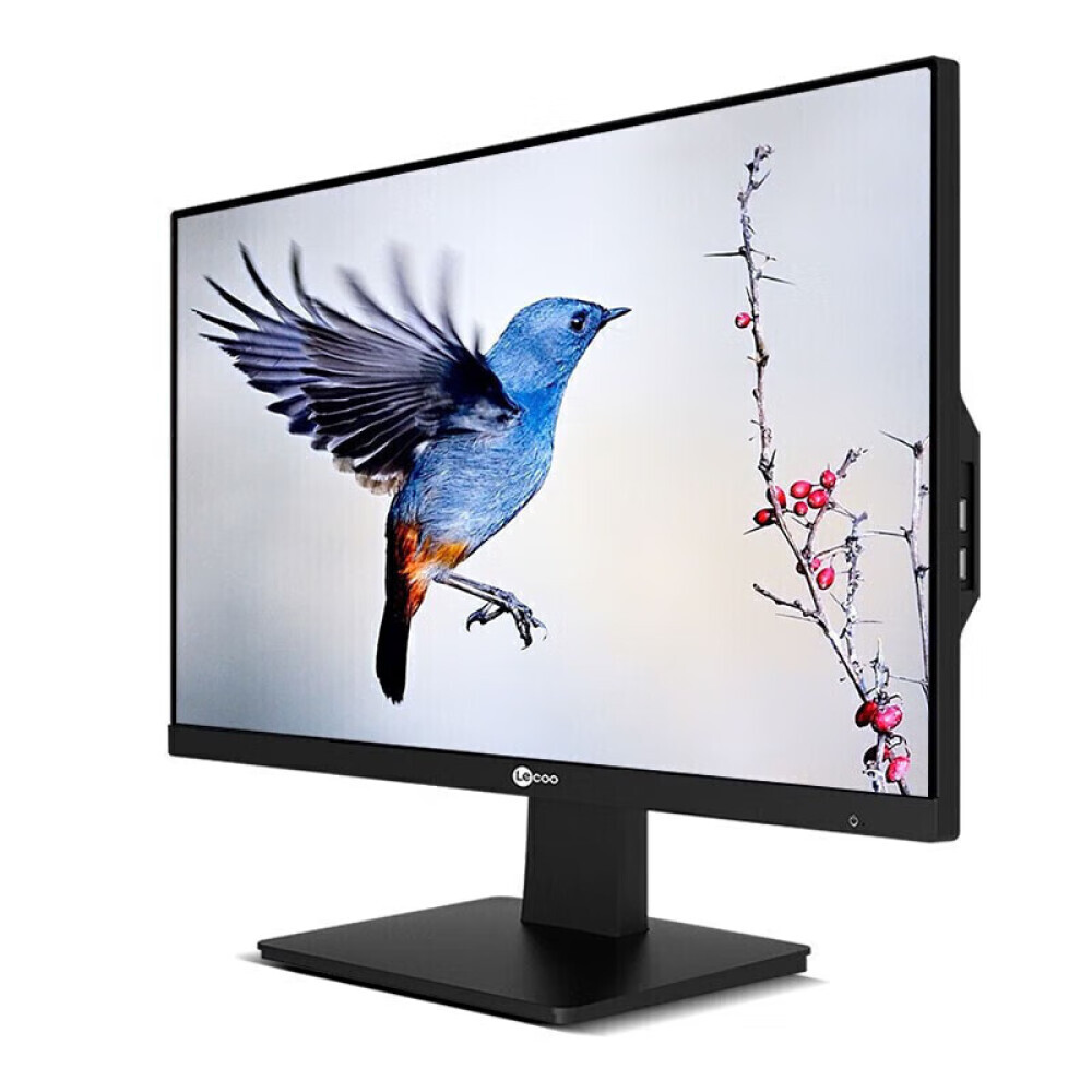 

Моноблок Lenovo Laiku AIO Cool 23,8" Intel J4125, черный