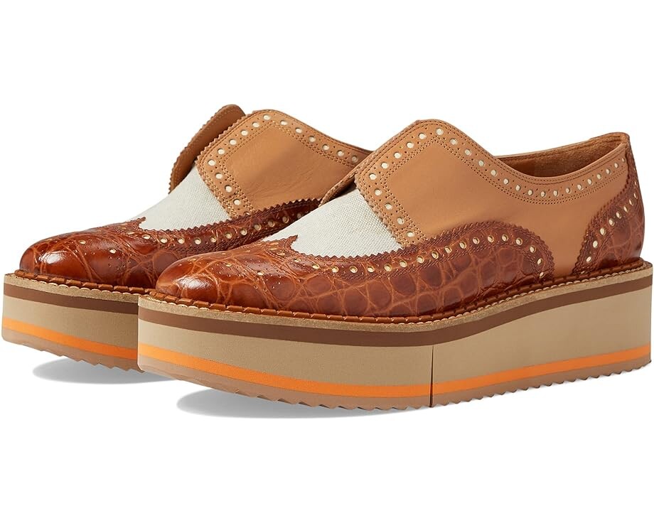 

Оксфорды Clergerie Beckal, цвет Long Mxcroc