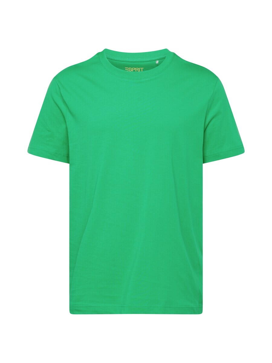 

Футболка Esprit, цвет Grass Green, Зеленый