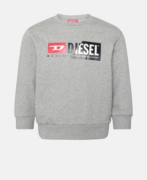 

Толстовка Diesel, серый