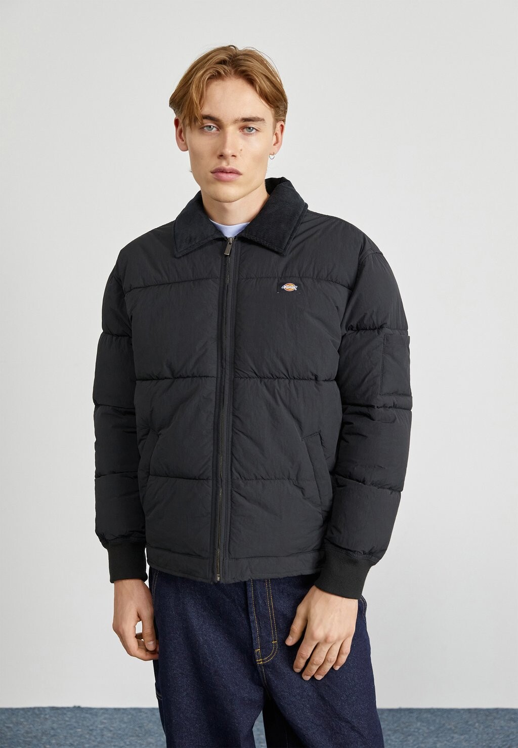 

Куртка Dickies ПУФФЕР OVERBROOK EISENHOWER, черный