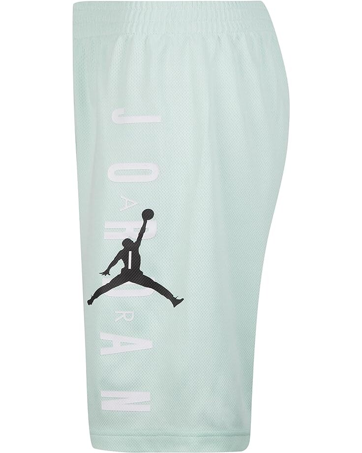 

Шорты Jordan Jordan Shorts, цвет Mint Foam