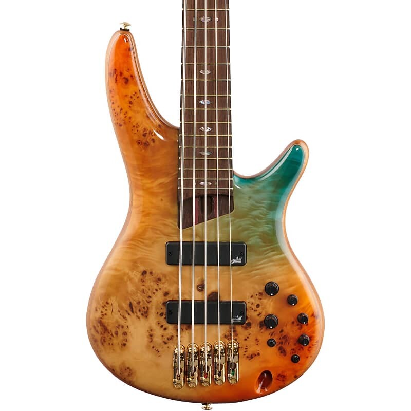 

Ibanez Premium SR1605DW Электрическая бас-гитара, 5-струнная (с чехлом), Autumn Sunset Sky SR1605DWASK