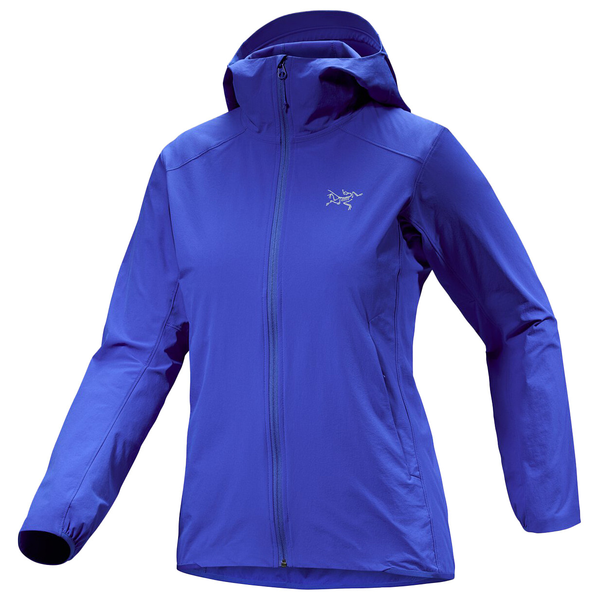 Куртка из софтшелла Arc'Teryx Women's Gamma Lightweight Hoody, цвет Vitality