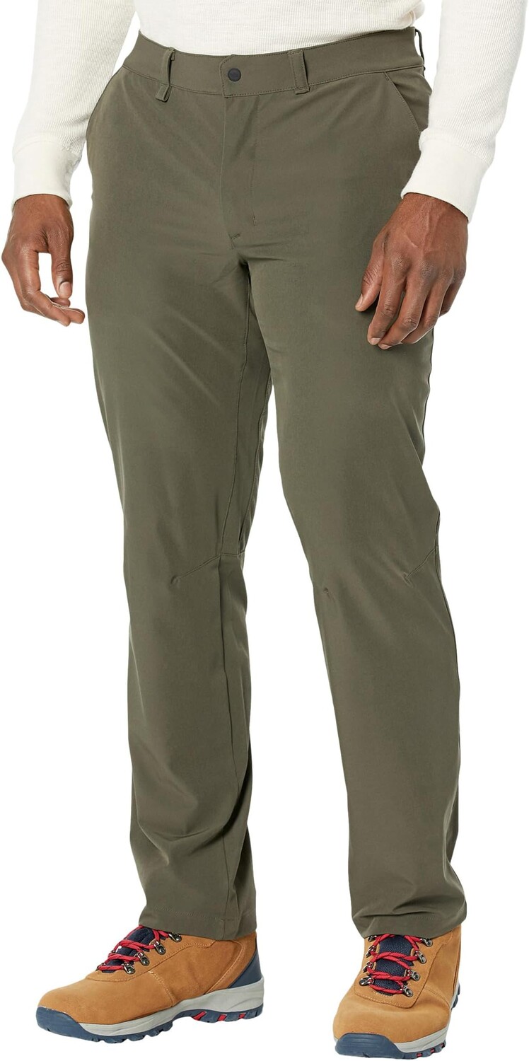 

Брюки Paramount Pants The North Face, цвет New Taupe Green