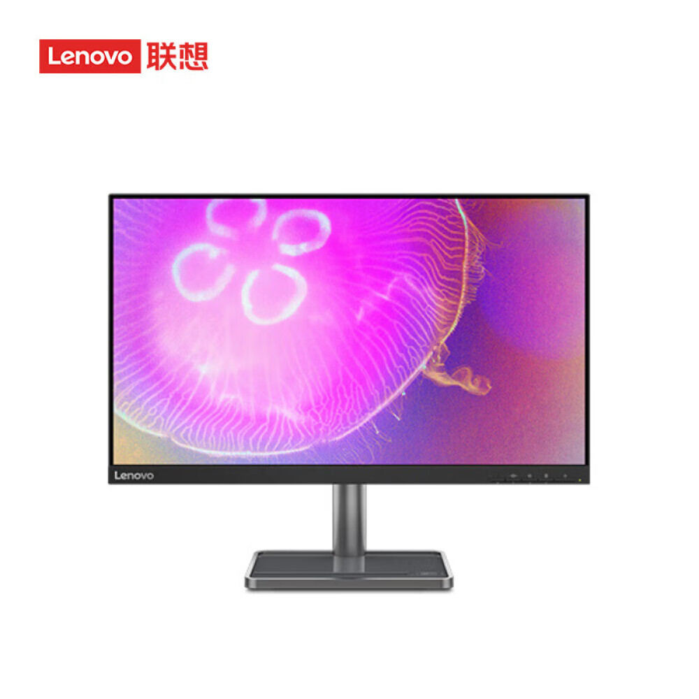

Монитор Lenovo L24q-35 23,8" IPS 2K с возможностью настенного монтажа