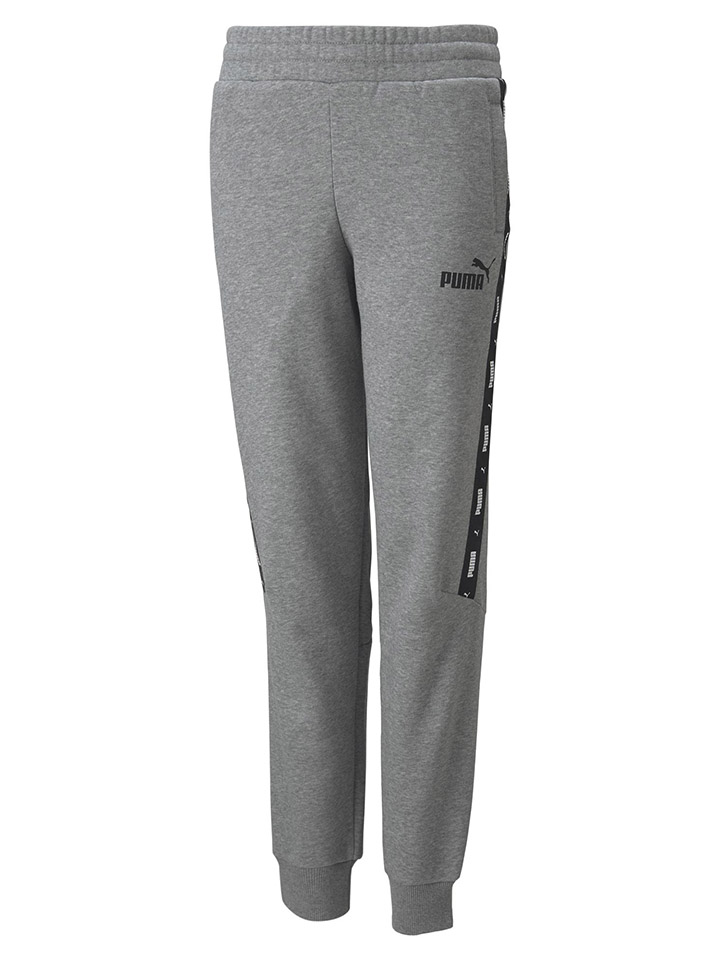 Спортивные брюки Puma ESS, серый