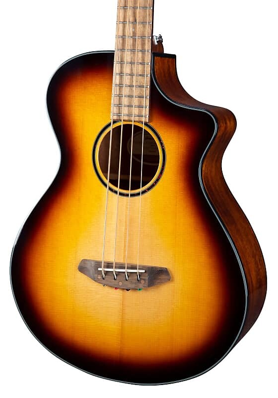 

Breedlove Discovery S Concert Edgeburst Bass CE DSCN44BCESSAM