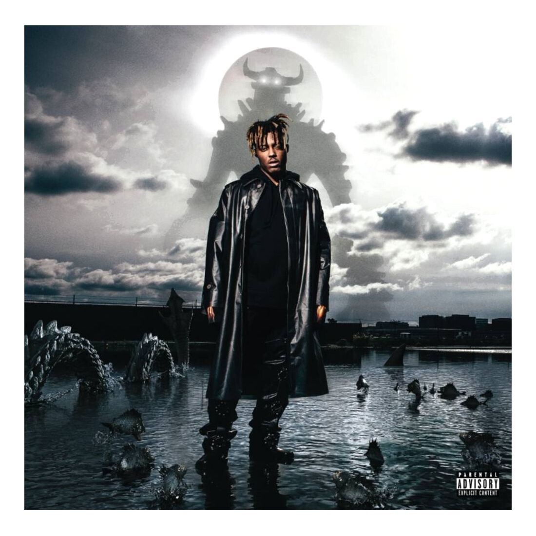 

Виниловая пластинка Fighting Demons (2 Discs) | Juice WRLD