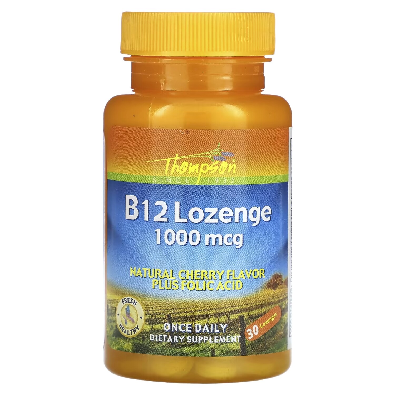 Thompson B12 пастилки с натуральным вишневым вкусом 1000 мкг, 30 пастилок витамин b12 и фолиевая кислота zahler b12 energizer с натуральным вишневым вкусом 90 пастилок