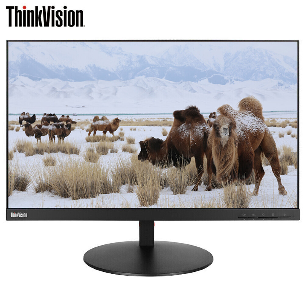 

Монитор ThinkVision P24i 23,8" IPS Full HD