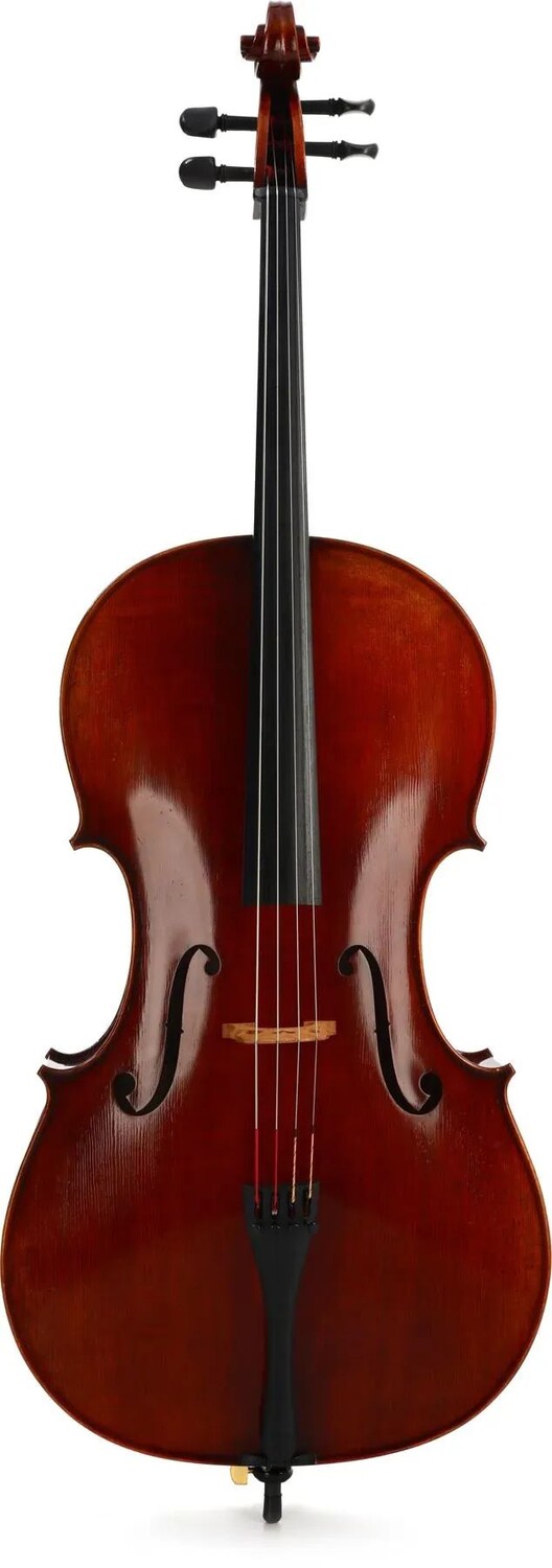 

Eastman VC701 Профессиональная виолончель Рудольф Детш — размер 4/4