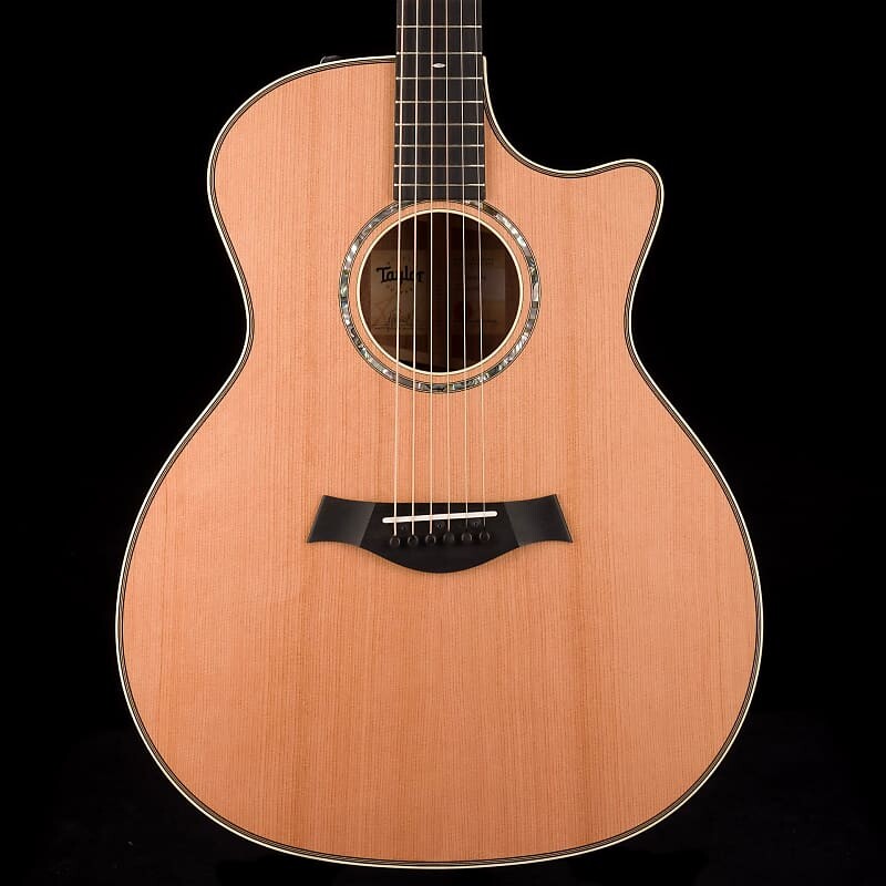 

Акустическая электрогитара Taylor 514ce LTD Blackwood с футляром