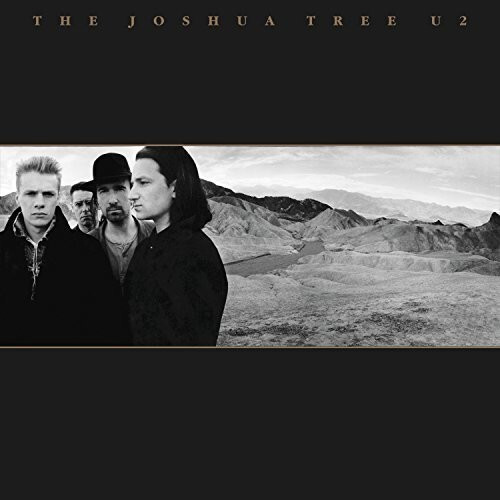 

Виниловая пластинка The Joshua Tree 30th Anniversary (2 Discs) | U2