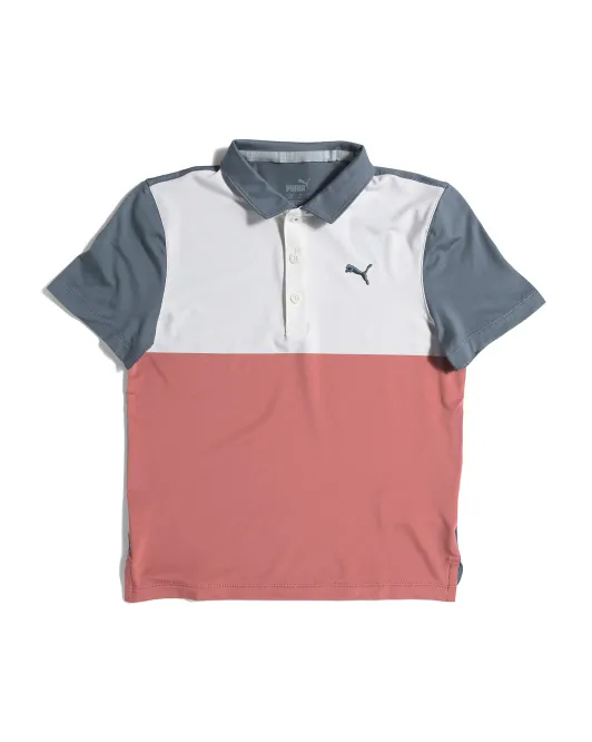 

Поло с цветными блоками Big Boys Cloudspun Puma Golf, цвет Multi