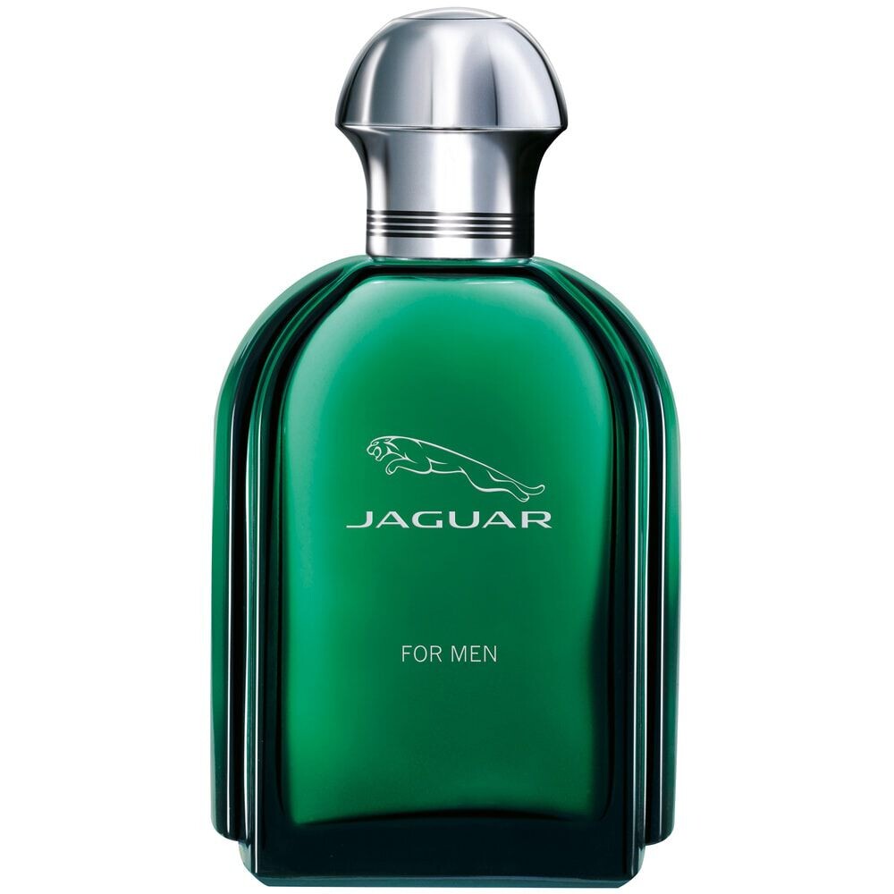 

Jaguar For Men туалетная вода для мужчин, 100 мл