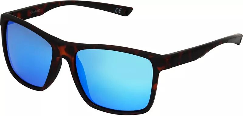 Alpine Design Поляризованные солнцезащитные очки DSG FS2003