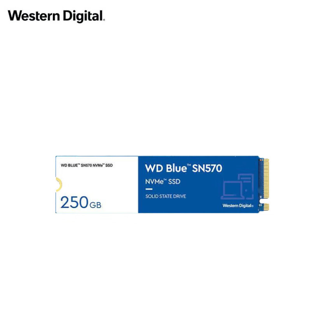 

SSD-накопитель Western Digital Blue SN570 250GB