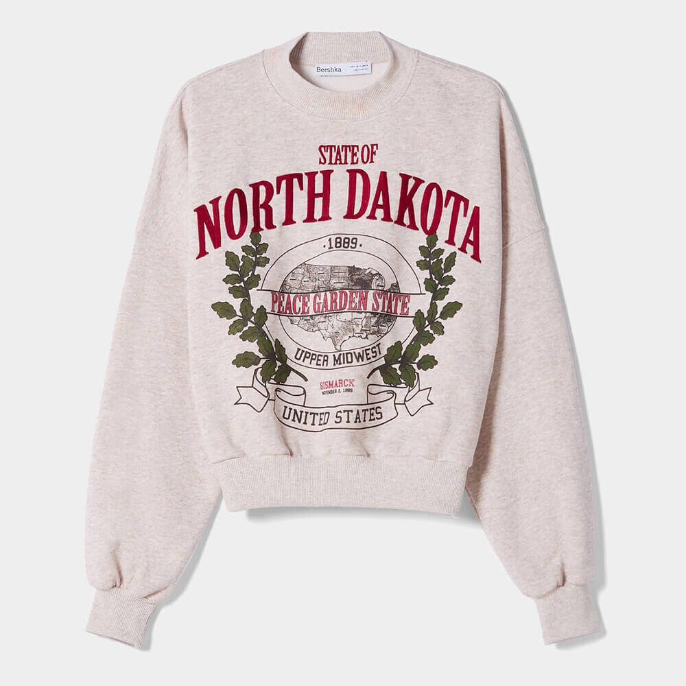 

Свитшот Bershka Printed With Embroidery, песочный