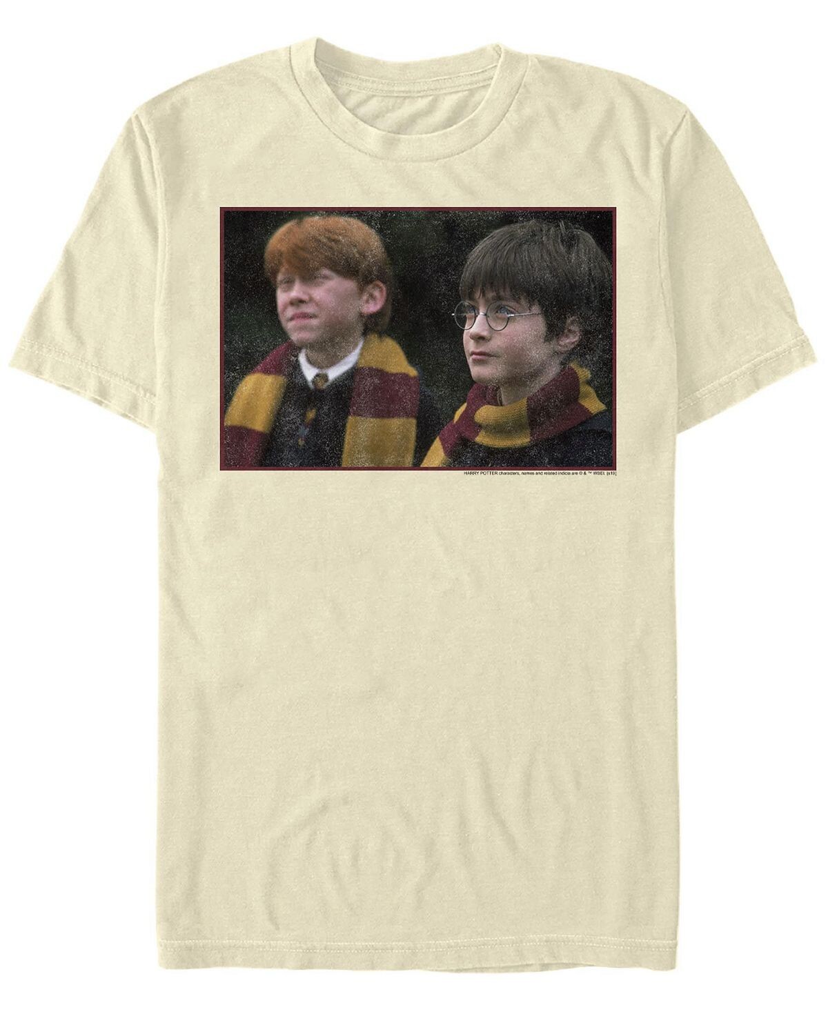 

Мужская футболка с круглым вырезом с короткими рукавами young harry Fifth Sun, Серый