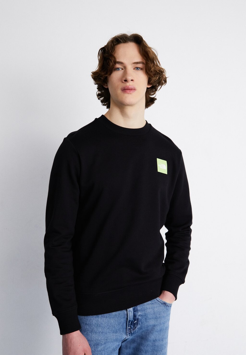 

Толстовка COORDINATES CREW The North Face, цвет black