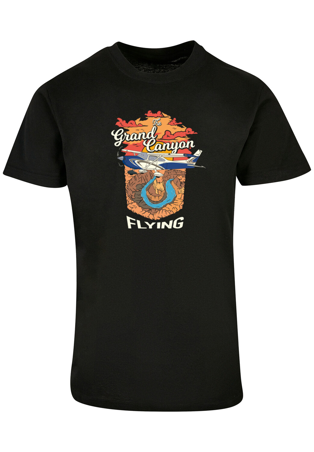 

Футболка F4NT4STIC Grand Canyon Flying, черный