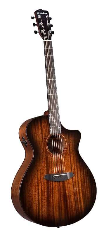 

Электроакустическая гитара Breedlove Organic Wildwood Pro Concerto CE - Suede WWCO38CEAMAM