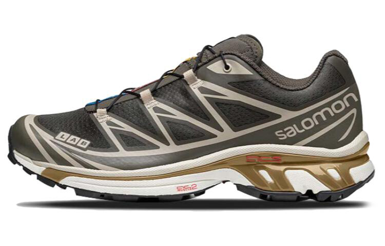 

Salomon XT-6 Белуга Тусклое Золото
