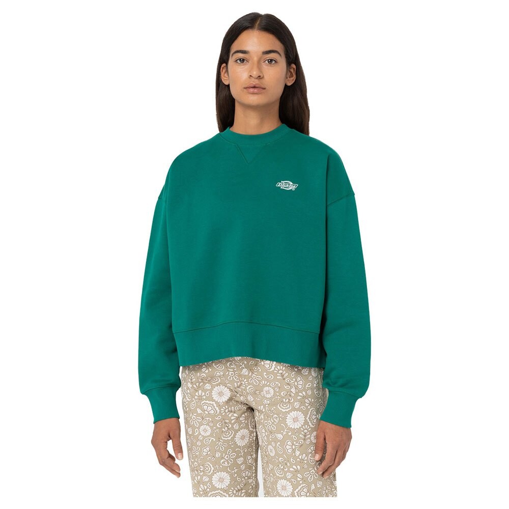 

Толстовка Dickies Summerdale, зеленый