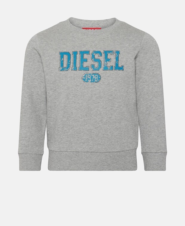 

Толстовка Diesel, серый