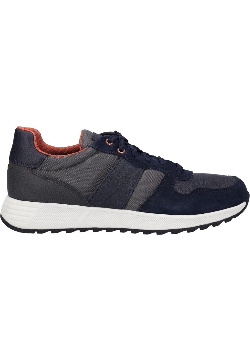 

Низкие кроссовки Molveno Geox, цвет grau