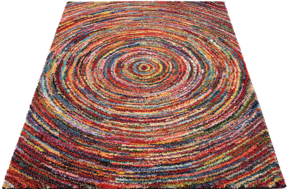 

OCI THE CARPET BRAND Ковер Shaggy "Sixteen Round", прямоугольный, гостиная OCI Die Teppichmarke 120х170 см, цвет multi