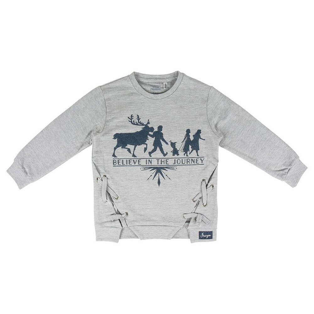 

Толстовка Cerda Group Cotton Brushed Frozen 1, серый