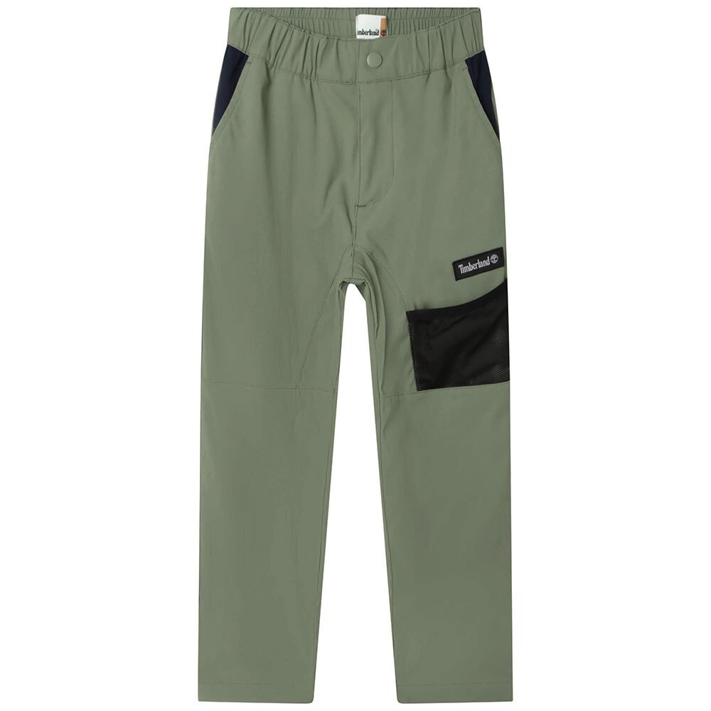 

Брюки Timberland T24C32, зеленый