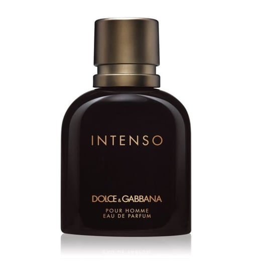 Парфюмированная вода Dolce & Gabbana Pour Homme Intenso, 125 мл духи dolce