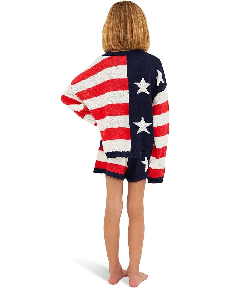

Шорты Beach Riot Balboa Shorts, цвет Star Spangled