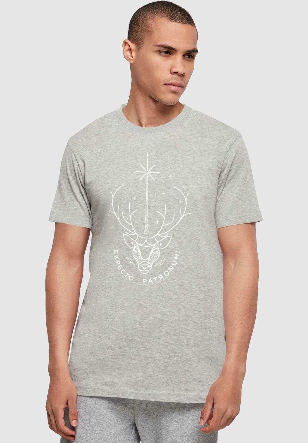 Футболка с принтом HARRY POTTER EXPECTO PATRONUM CHARM ABSOLUTE CULT, цвет heather grey 3d постер harry potter expecto patronum