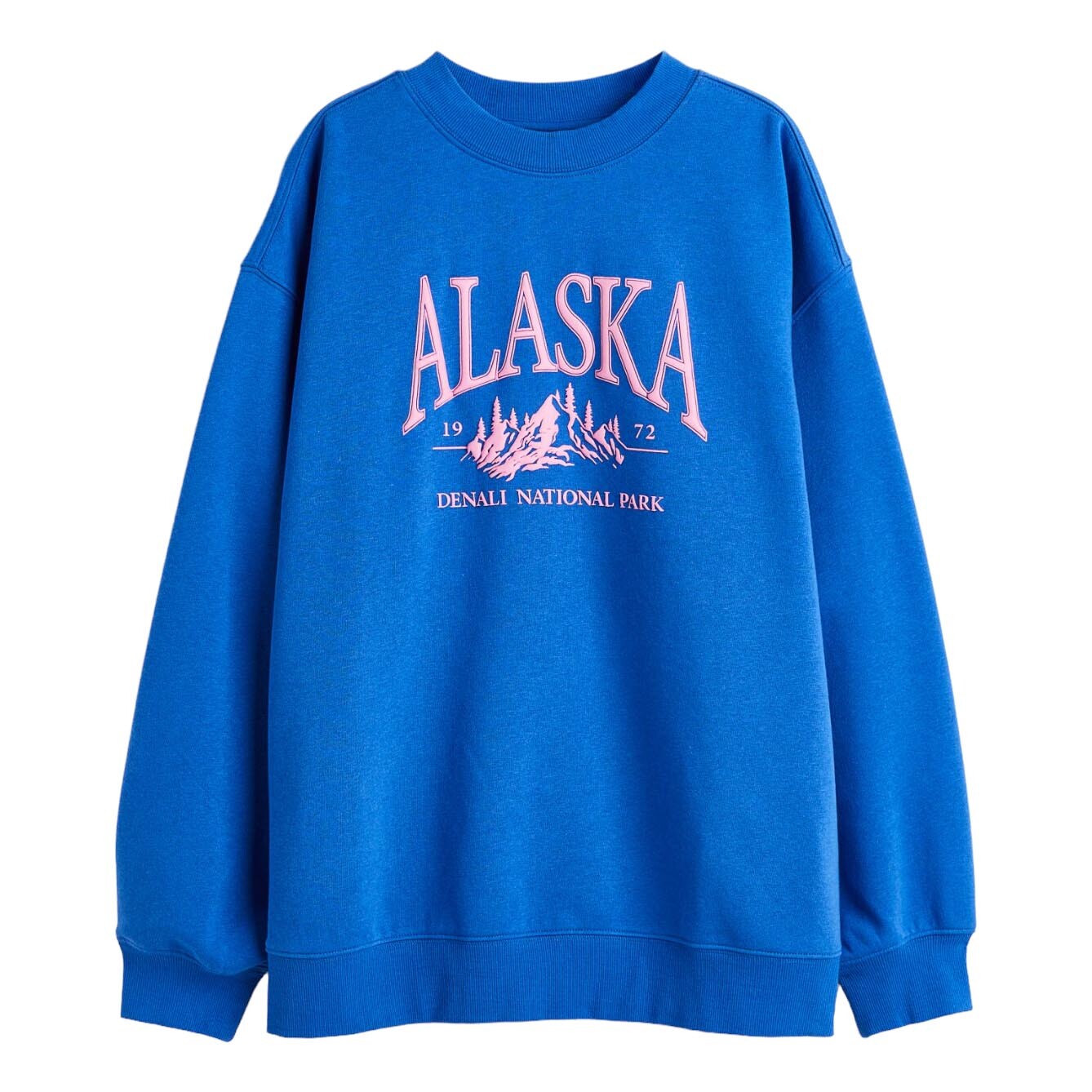 

Свитшот H&M Alaska Printed, ярко-синий