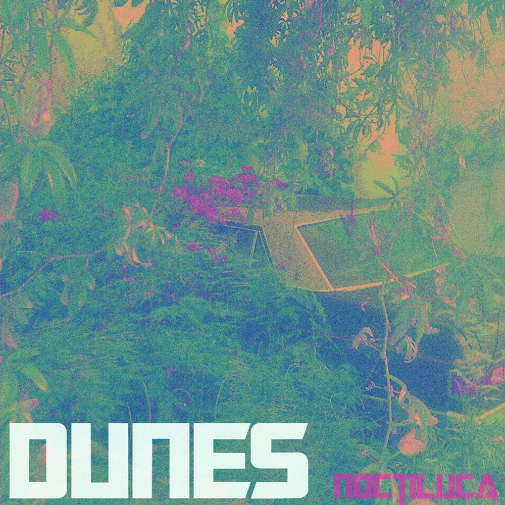 

Диск CD Dunes - Gardens & Villa