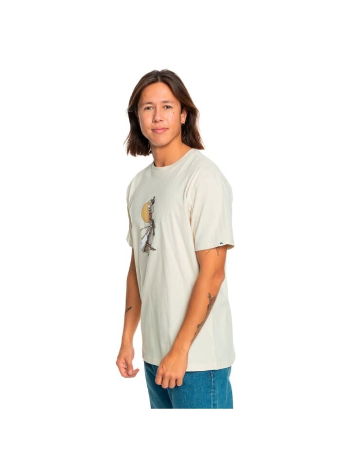 

Футболка Quicksilver Tshirt, белый