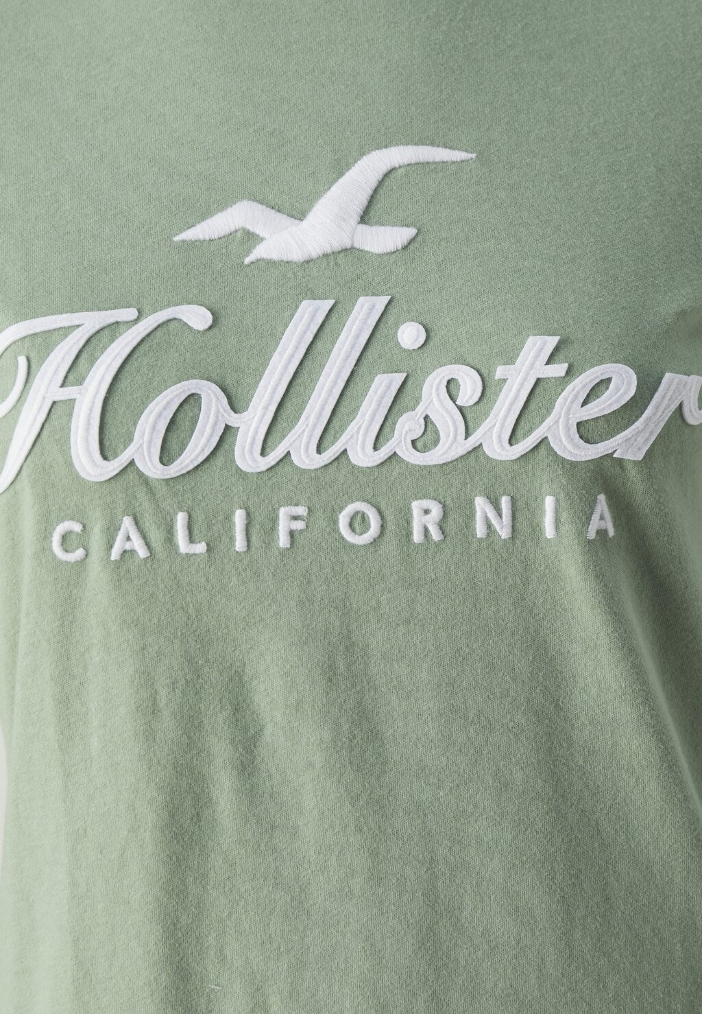 

Принт на футболке TECH CORE Hollister Co., зеленый